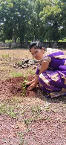 Tree Plantation 2020 – Factory & Research Farm