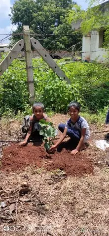 Tree Plantation 2020 – Factory & Research Farm