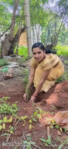 Tree Plantation 2020 – Factory & Research Farm