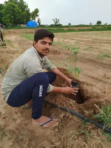 Tree Plantation 2020 – FPO Business