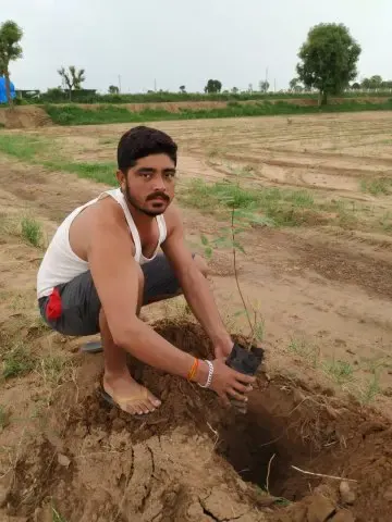 Tree Plantation 2020 – FPO Business