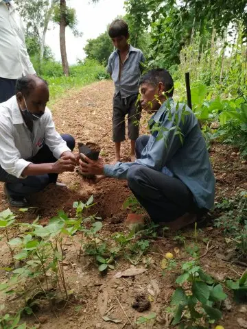 Tree Plantation 2020 – FPO Business