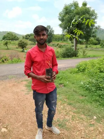 Tree Plantation 2020 – FPO Business