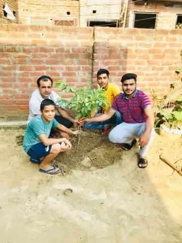 Tree Plantation 2020 – Haryana
