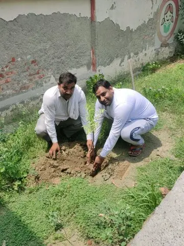 Tree Plantation 2020 – Haryana