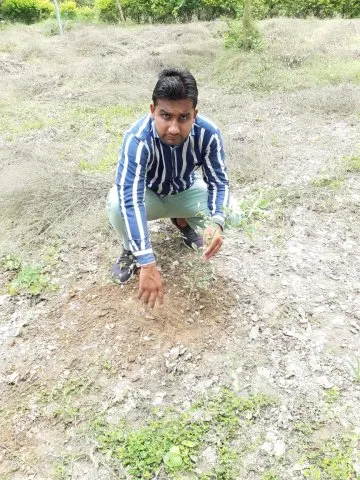 Tree Plantation 2020 – Haryana
