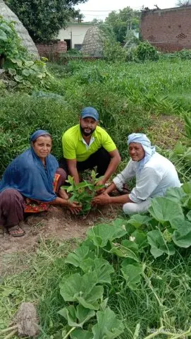 Tree Plantation 2020 – Haryana
