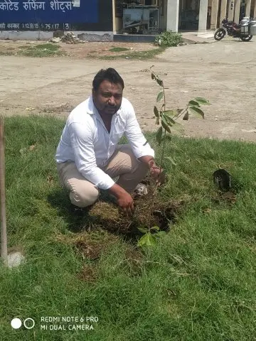 Tree Plantation 2020 – Haryana