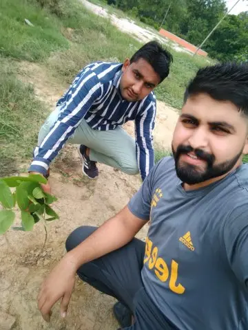 Tree Plantation 2020 – Haryana