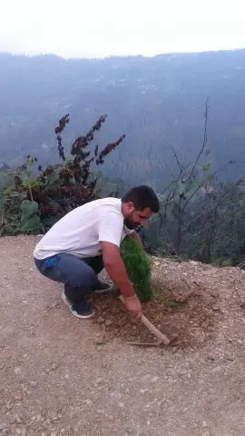 Tree Plantation 2020 – Haryana