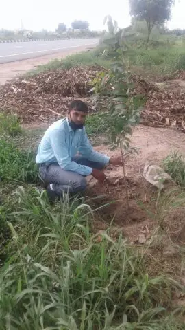 Tree Plantation 2020 – Haryana