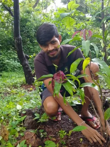 Tree Plantation 2020 – Head Office