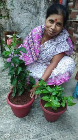 Tree Plantation 2020 – Head Office