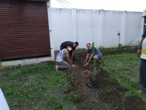 Tree Plantation 2020 – Head Office