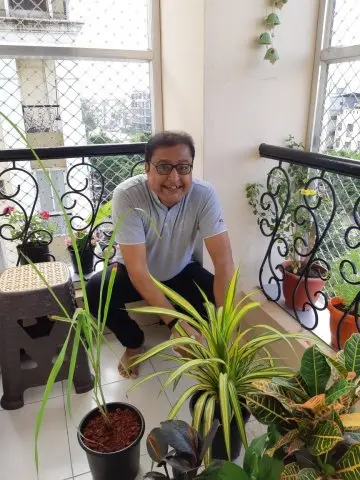 Tree Plantation 2020 – Head Office