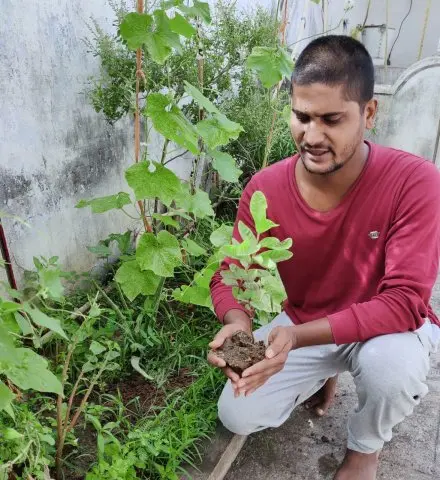 Tree Plantation 2020 – Head Office