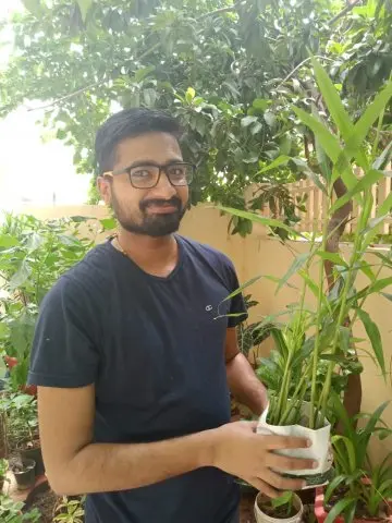 Tree Plantation 2020 – Head Office