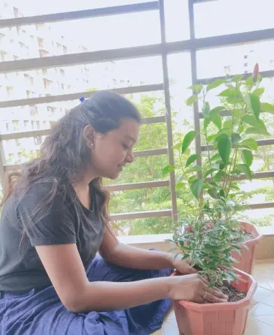 Tree Plantation 2020 – Head Office