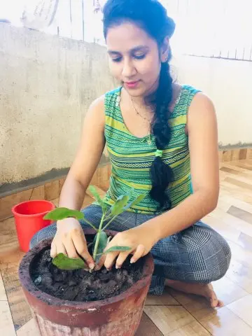 Tree Plantation 2020 – Head Office