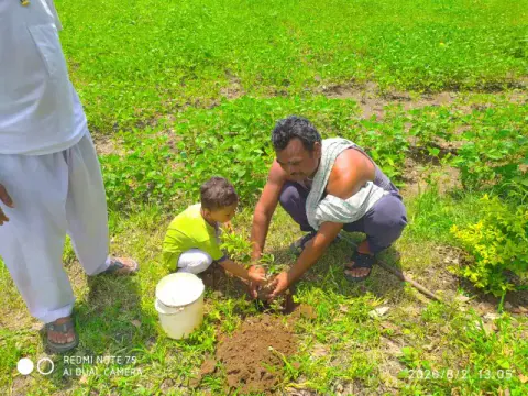 Tree Plantation 2020 – Head Office