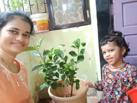 Tree Plantation 2020 – Head Office