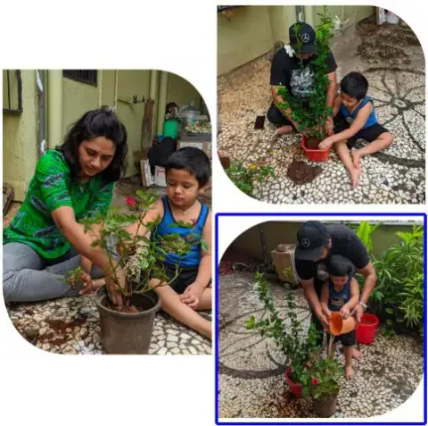 Tree Plantation 2020 – Head Office