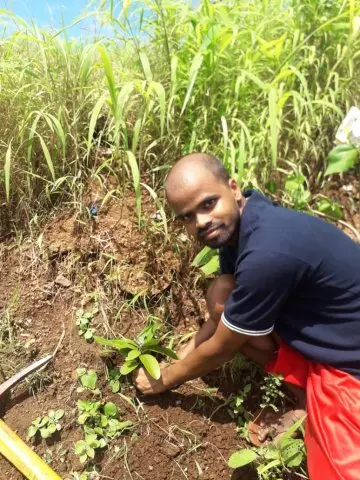 Tree Plantation 2020 – Head Office