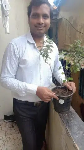 Tree Plantation 2020 – Head Office