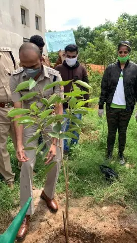 Tree Plantation 2020 – Institutional Business