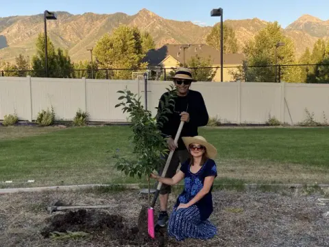 Tree Plantation 2020 – International
