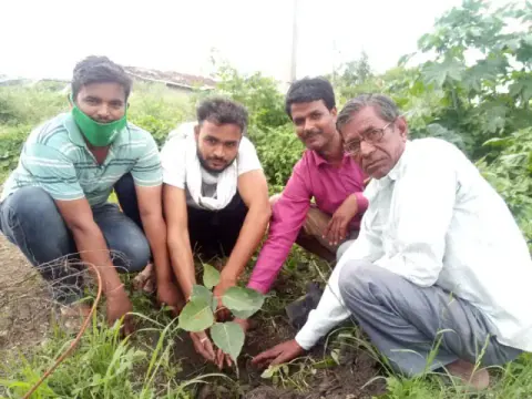 Tree Plantation 2020 – Madhya Pradesh