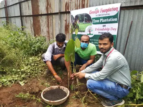 Tree Plantation 2020 – Madhya Pradesh