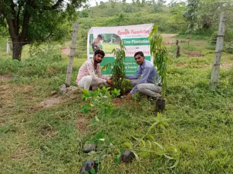 Tree Plantation 2020 – Madhya Pradesh