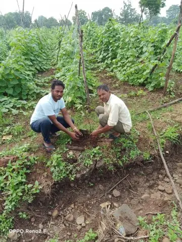 Tree Plantation 2020 – Madhya Pradesh