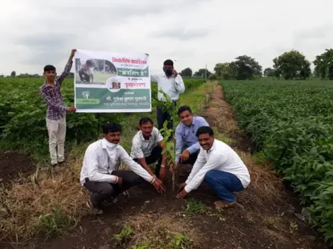 Tree Plantation 2020 – Madhya Pradesh