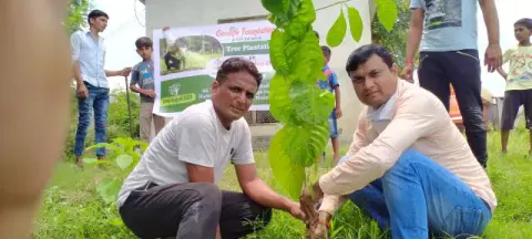 Tree Plantation 2020 – Madhya Pradesh