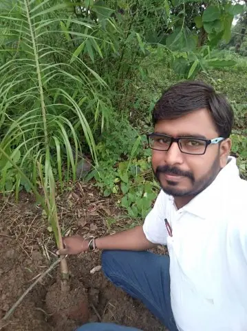 Tree Plantation 2020 – Madhya Pradesh