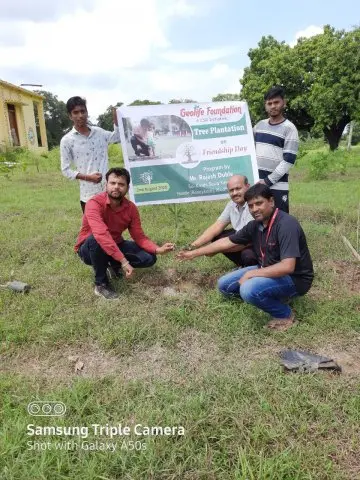 Tree Plantation 2020 – Madhya Pradesh