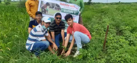 Tree Plantation 2020 – Madhya Pradesh