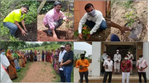 Tree Plantation 2020 – Maharashtra