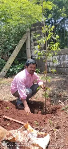 Tree Plantation 2020 – Maharashtra