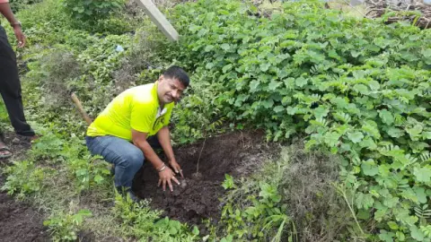 Tree Plantation 2020 – Maharashtra