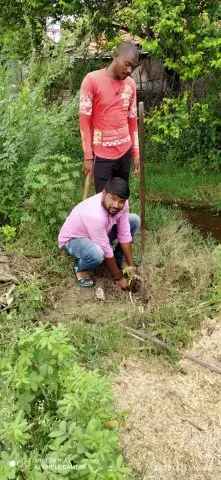 Tree Plantation 2020 – Maharashtra