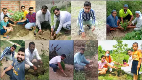 Tree Plantation 2020 – Maharashtra