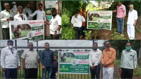 Tree Plantation 2020 – Maharashtra