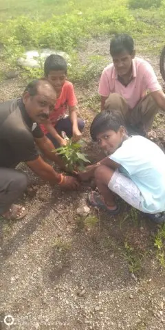 Tree Plantation 2020 – Maharashtra