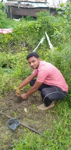 Tree Plantation 2020 – Maharashtra