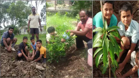 Tree Plantation 2020 – Maharashtra