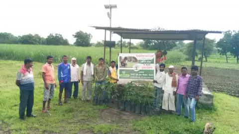 Tree Plantation 2020 – Maharashtra