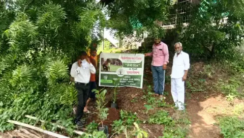 Tree Plantation 2020 – Maharashtra